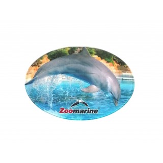 Dolphin magnet