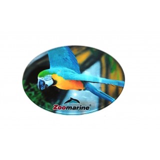 Macaw magnet