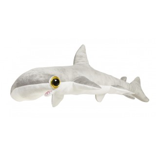 Shark 43in