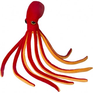 Octopus 43in