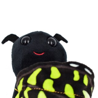 Details of green butterfly plush toy