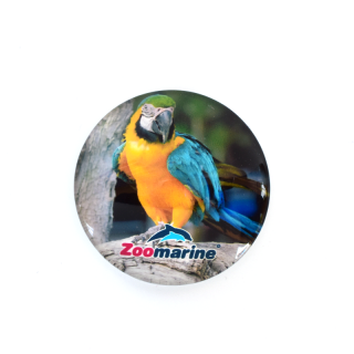 Macaw magnet