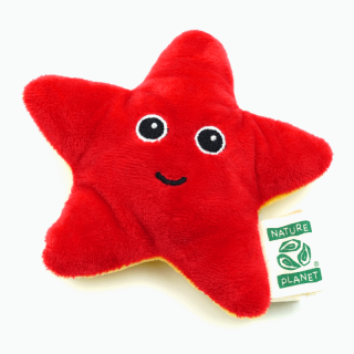 Starfish 13cm