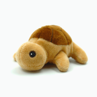 Turtle 13cm